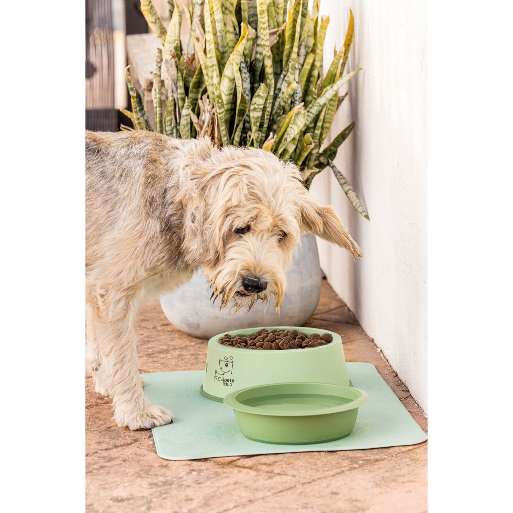 Comedero alimentación lenta para perros y gatos - Imagen 5