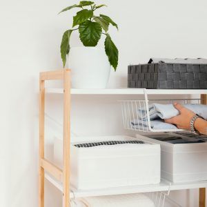 asesoramiento-organización