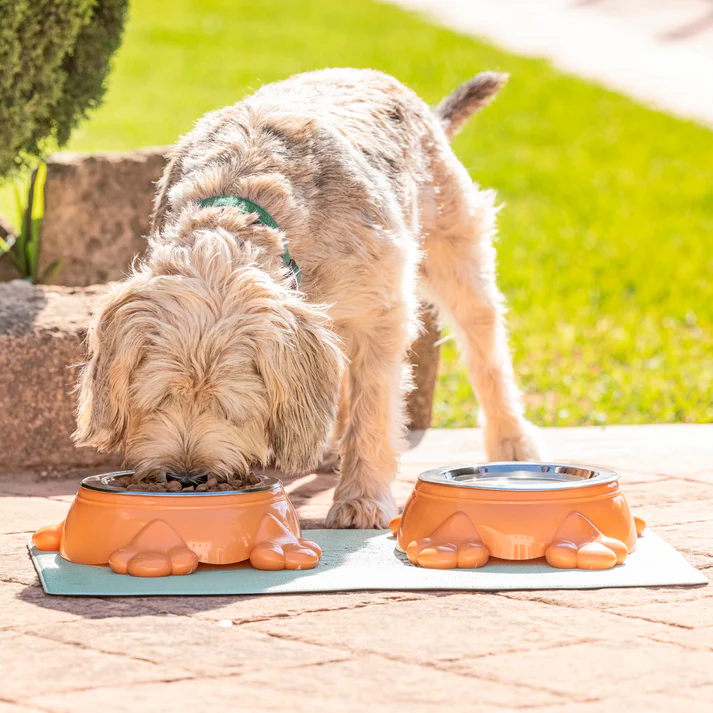Set para tu mascota - Imagen 9